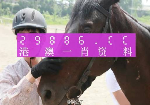 澳门一肖一码一必中，深度解读与词语释义的落实